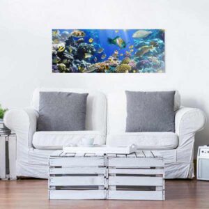 Glasbild Unterwasser Rief Sofa