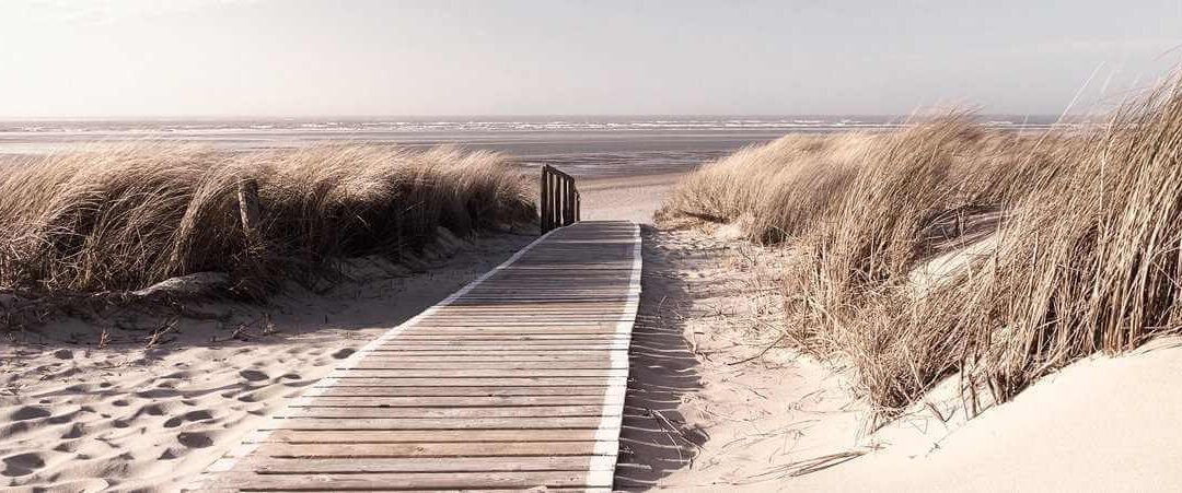 Glasbild Strand Dünen Morning Walk