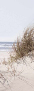 glasbild strand sea of dunes