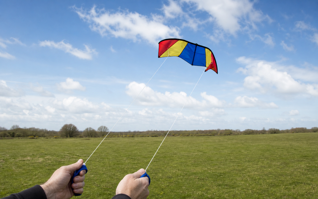 Kleine markenlose Zweileiner-Lenkmatte bei wechselndem Wind auf freier Wiese